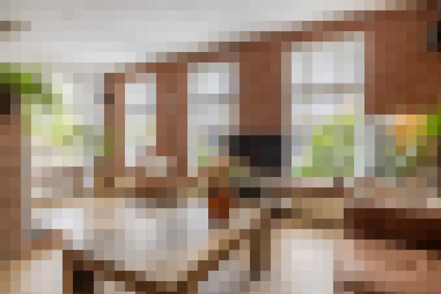Feintensloane 6 Feanwâlden thumbnail 17