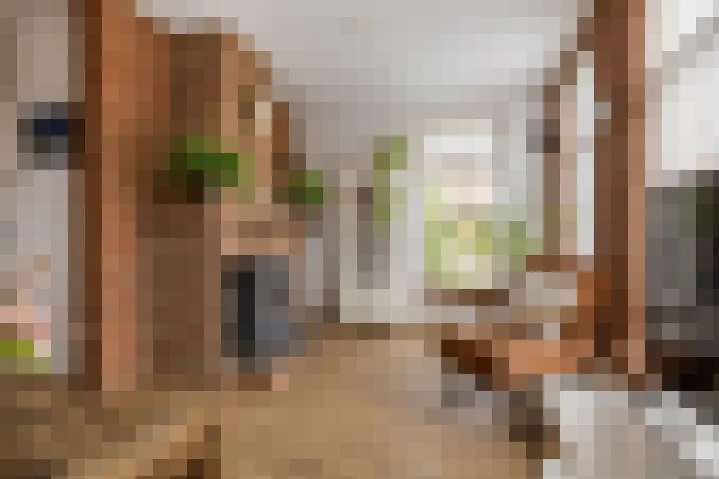 Feintensloane 6 Feanwâlden thumbnail 18