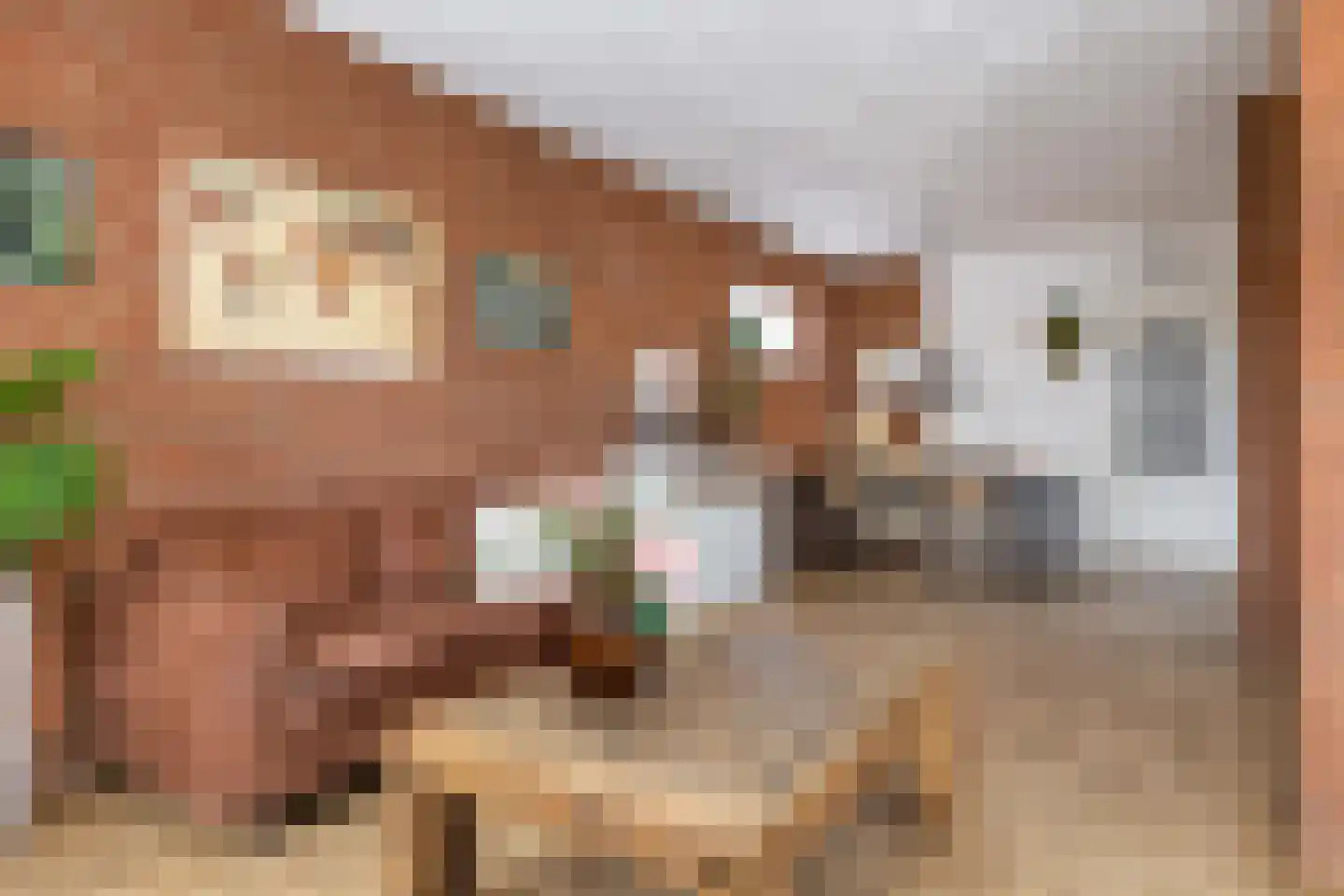 Feintensloane 6 Feanwâlden thumbnail 20