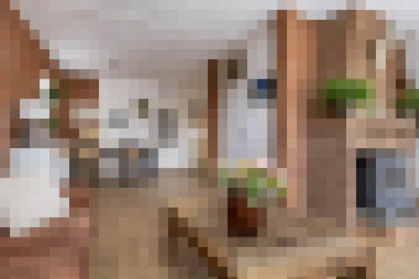 Feintensloane 6 Feanwâlden thumbnail 21