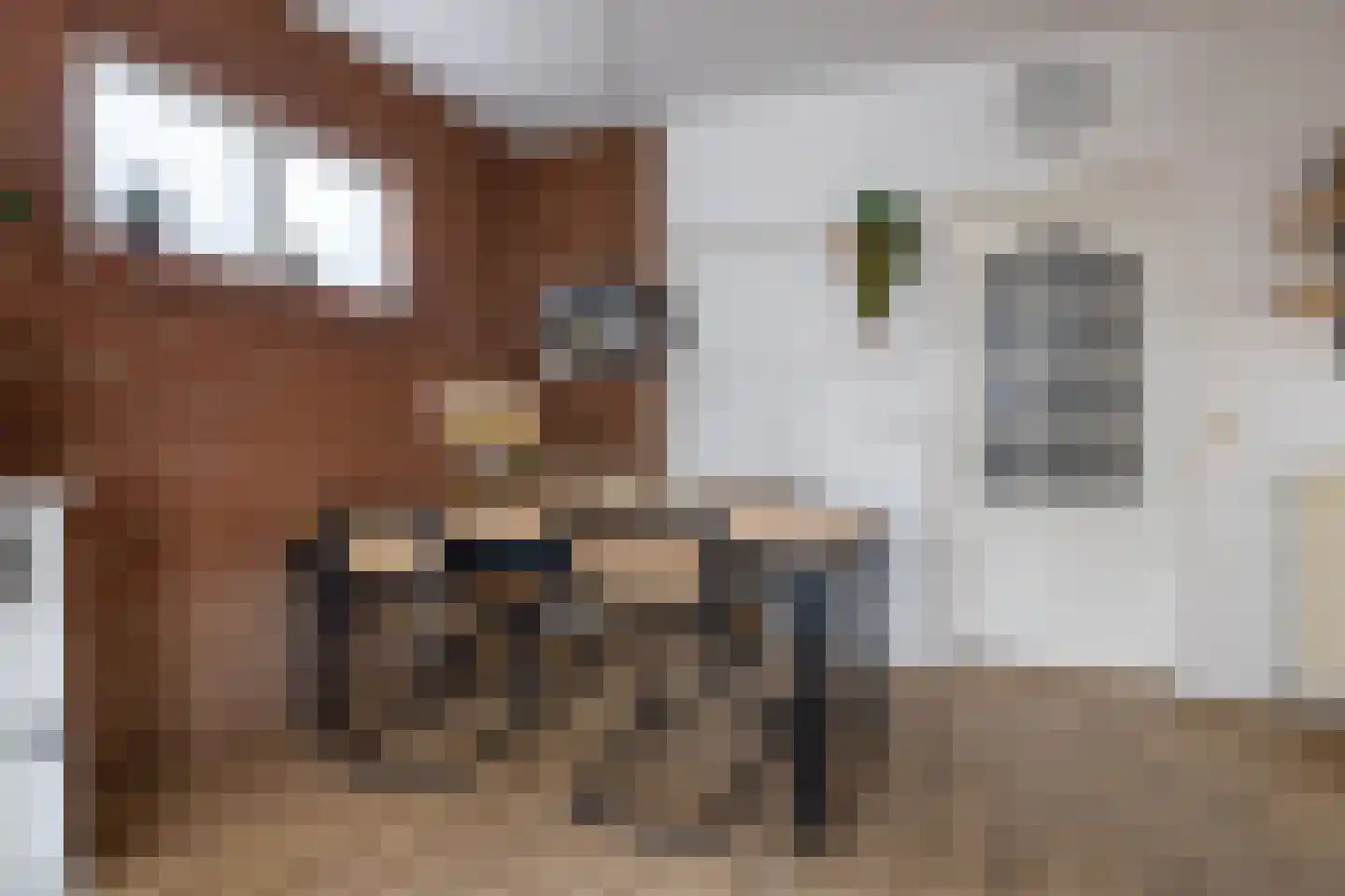 Feintensloane 6 Feanwâlden thumbnail 22