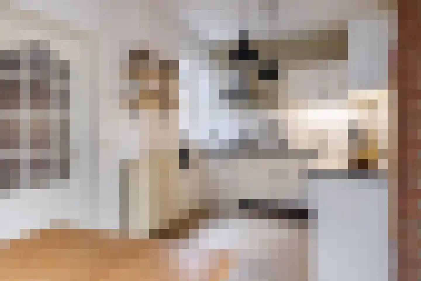 Feintensloane 6 Feanwâlden thumbnail 23