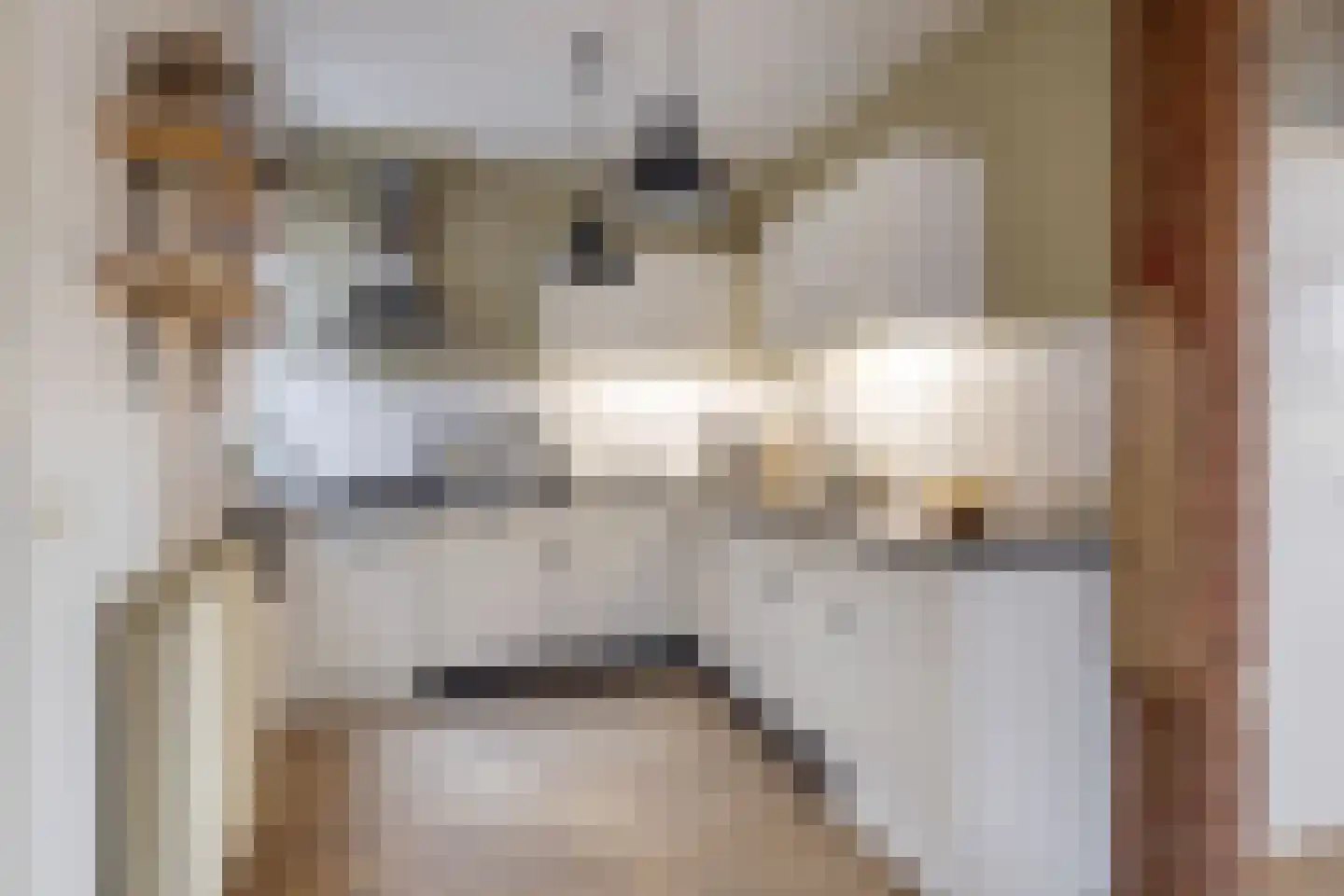 Feintensloane 6 Feanwâlden thumbnail 24