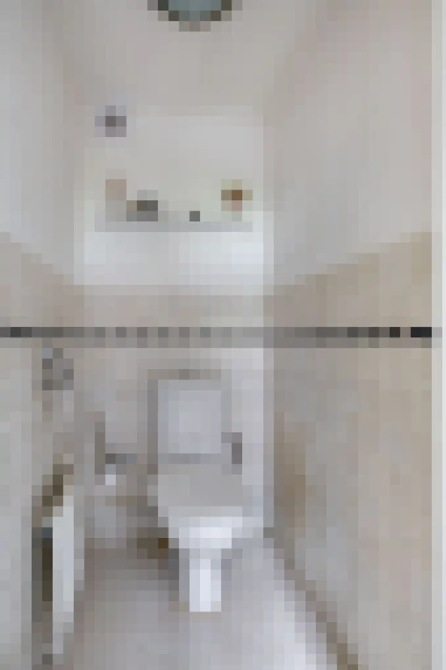 Feintensloane 6 Feanwâlden thumbnail 29