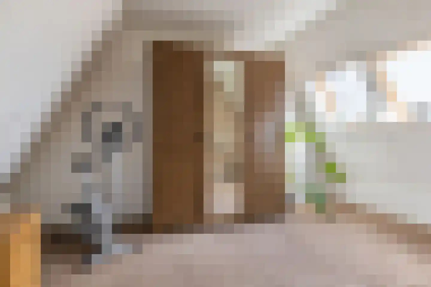 Feintensloane 6 Feanwâlden thumbnail 35