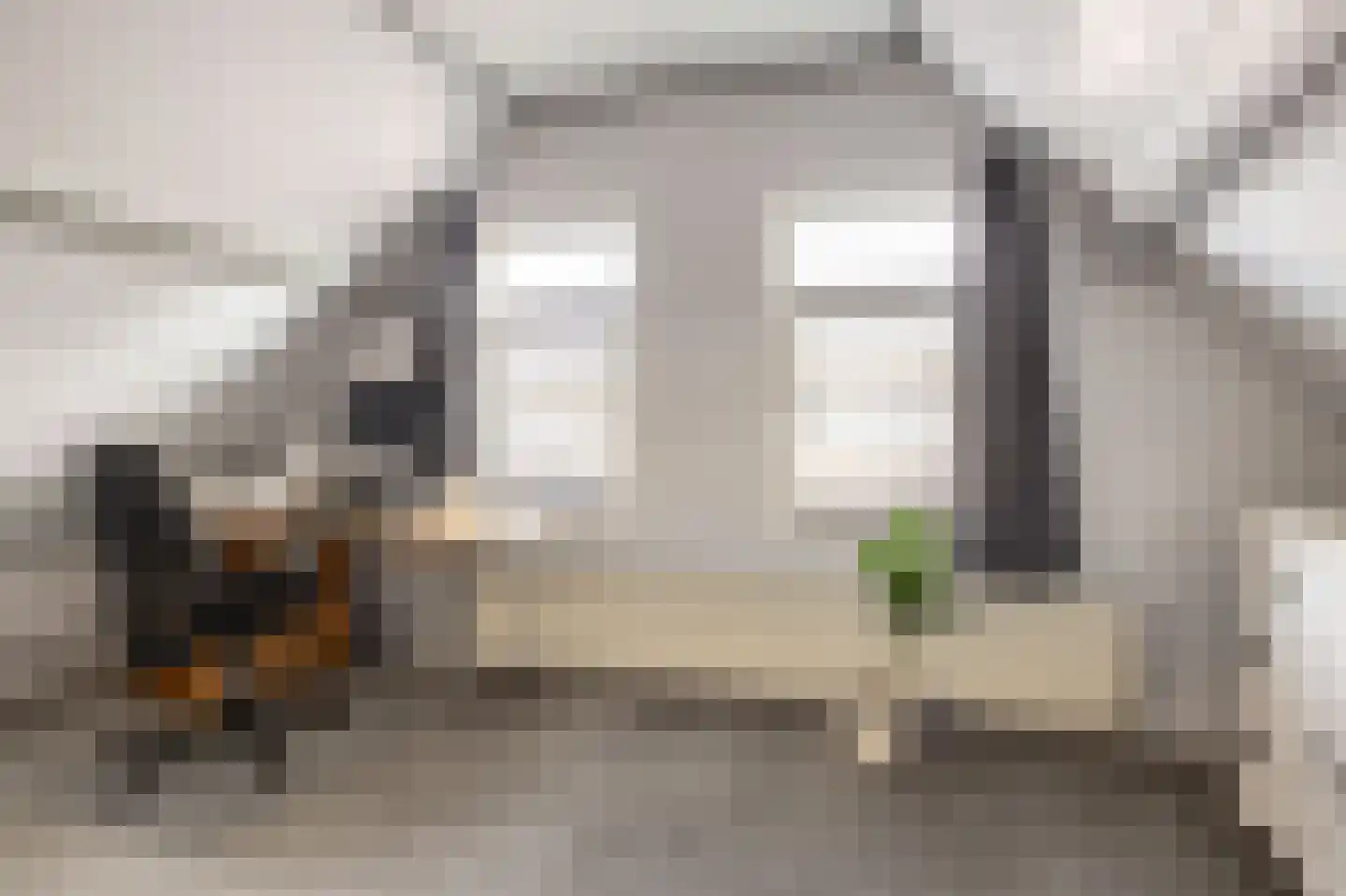 Feintensloane 6 Feanwâlden thumbnail 39