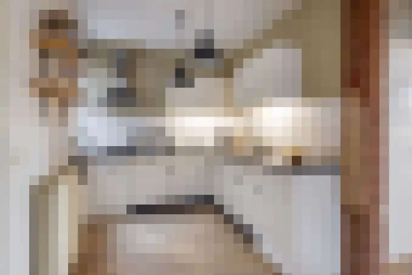 Feintensloane 6 Feanwâlden thumbnail 4