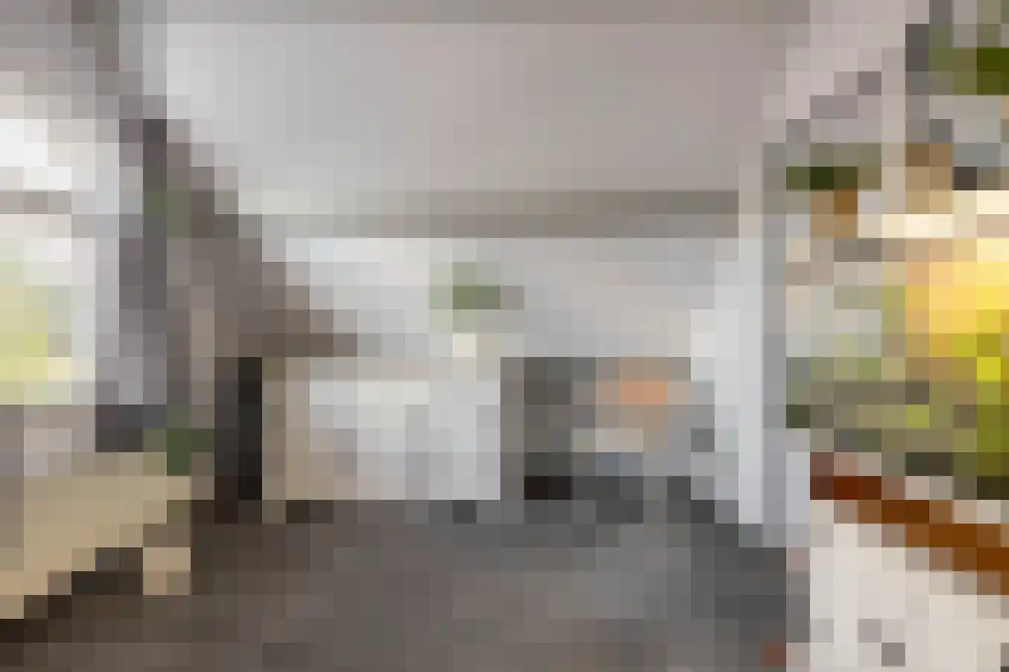 Feintensloane 6 Feanwâlden thumbnail 40