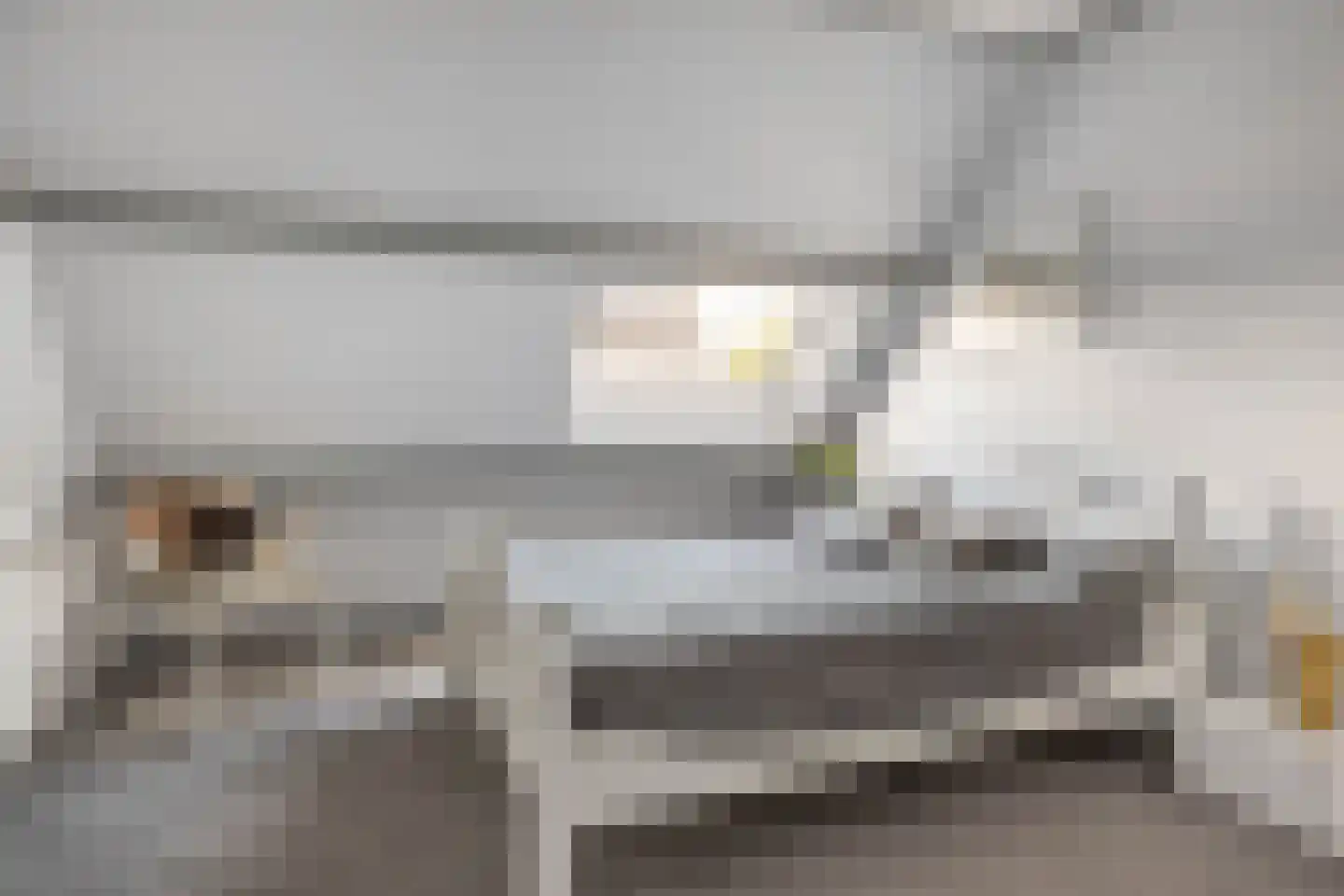 Feintensloane 6 Feanwâlden thumbnail 43