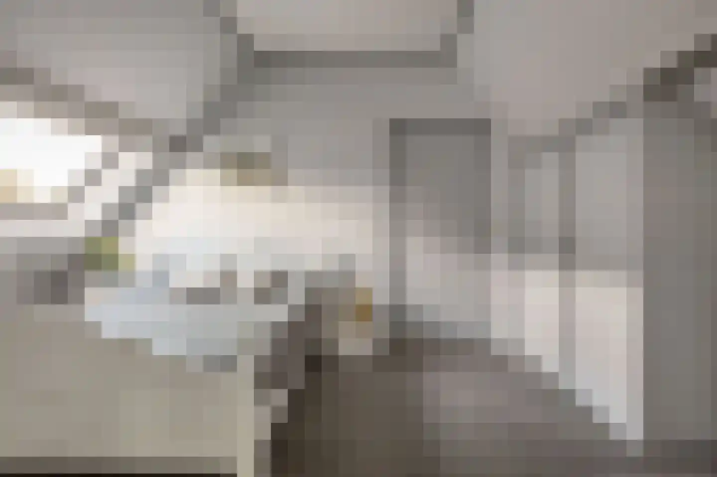 Feintensloane 6 Feanwâlden thumbnail 44