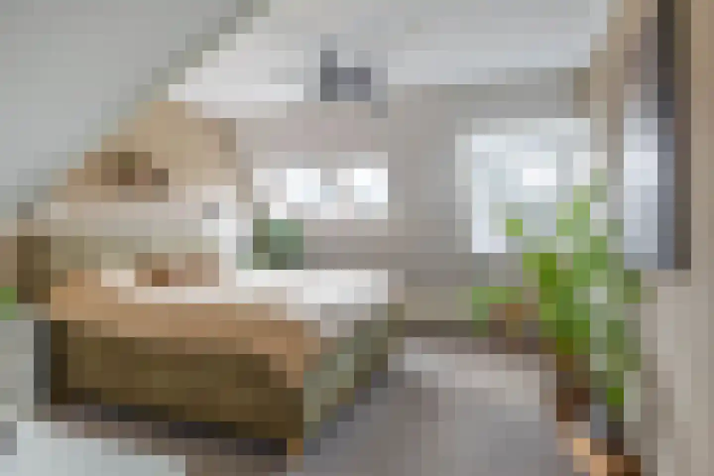 Feintensloane 6 Feanwâlden thumbnail 47