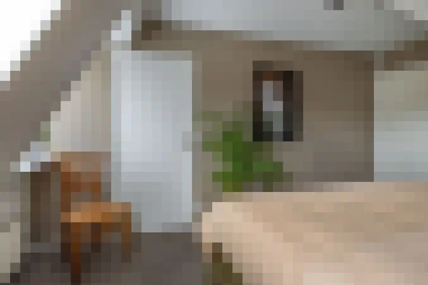 Feintensloane 6 Feanwâlden thumbnail 50