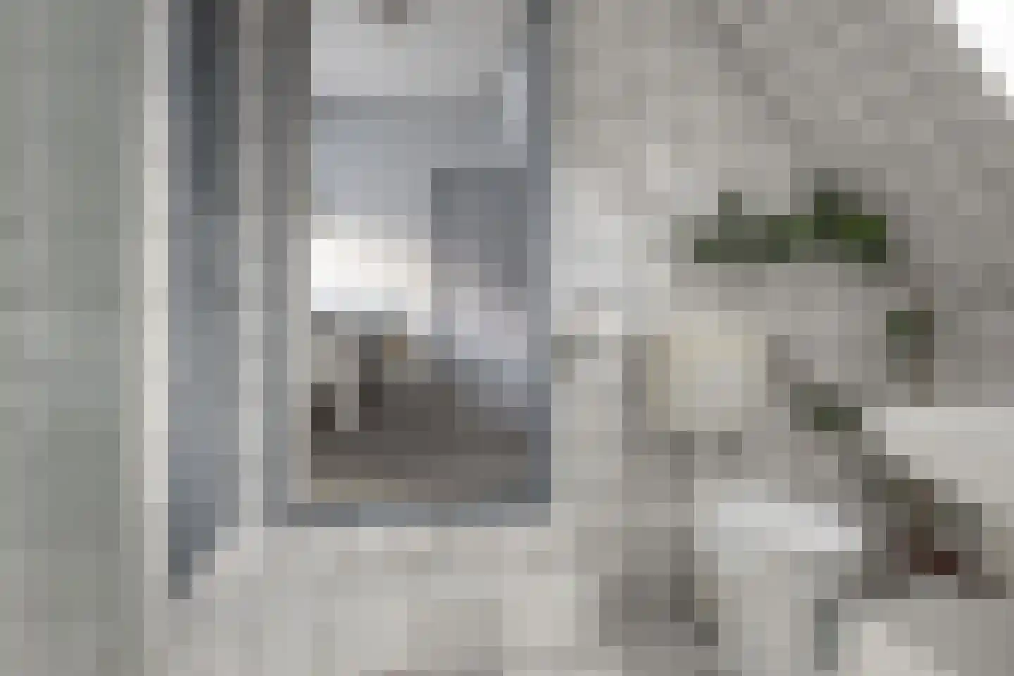 Feintensloane 6 Feanwâlden thumbnail 52