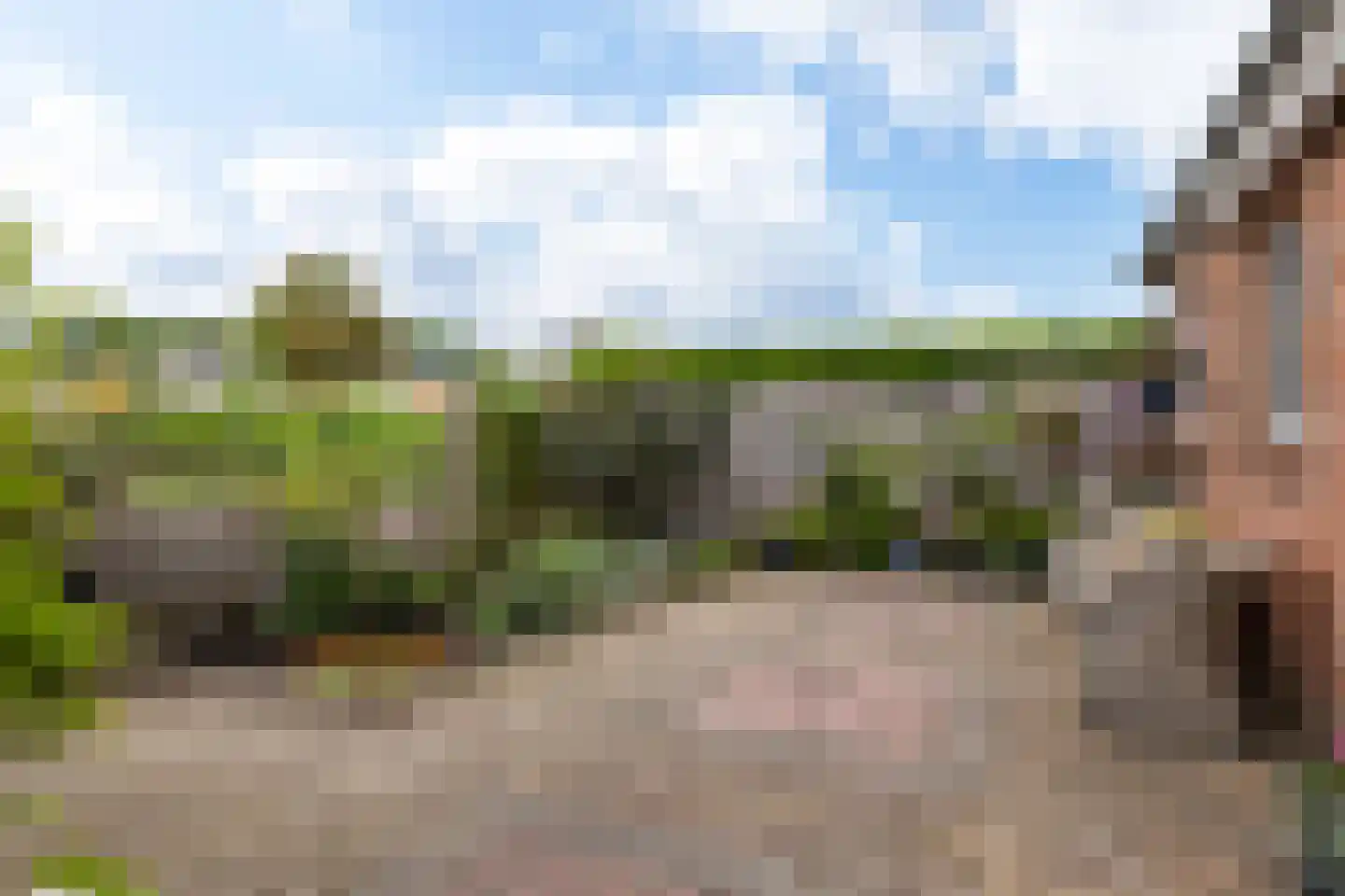 Feintensloane 6 Feanwâlden thumbnail 55