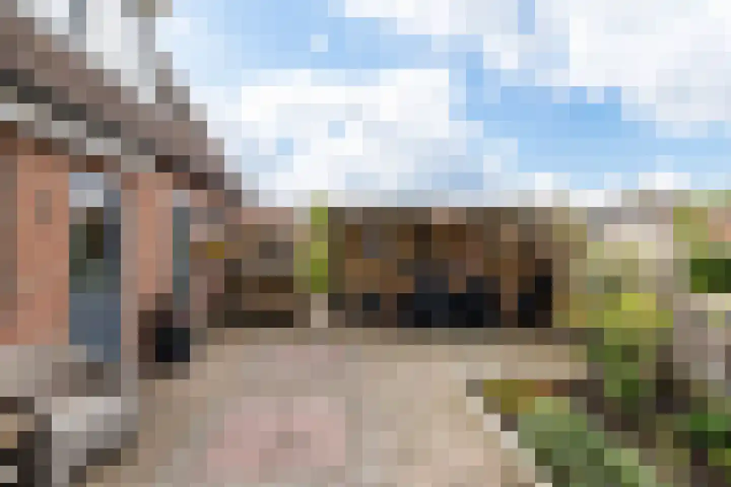 Feintensloane 6 Feanwâlden thumbnail 56