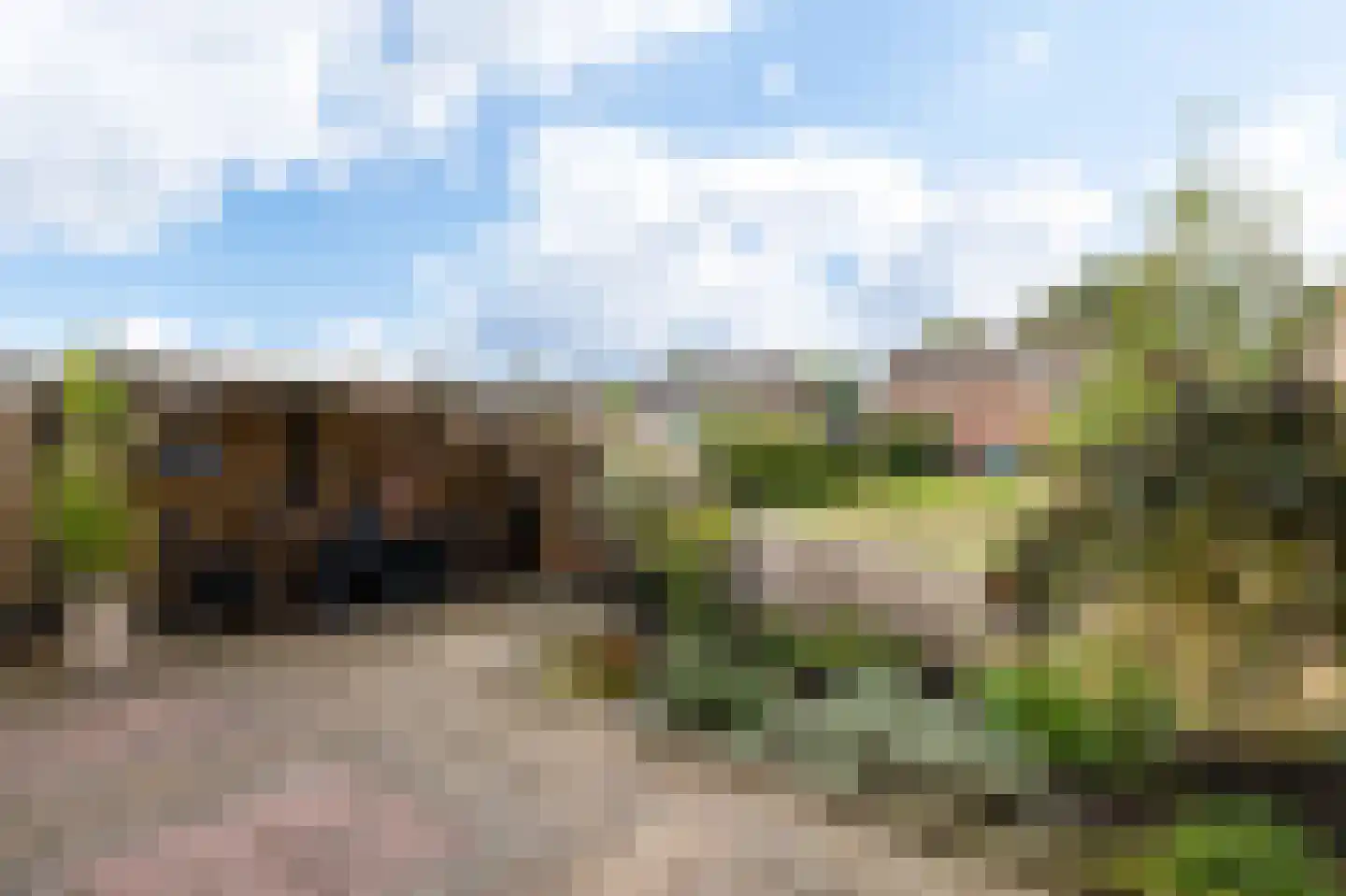Feintensloane 6 Feanwâlden thumbnail 58