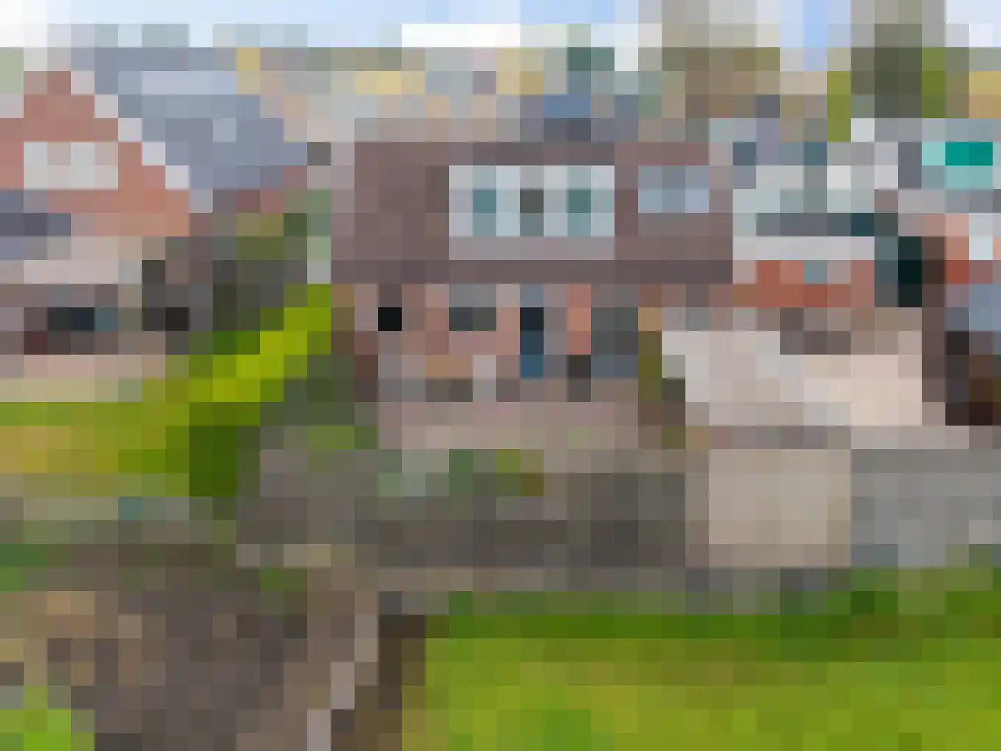 Feintensloane 6 Feanwâlden thumbnail 59