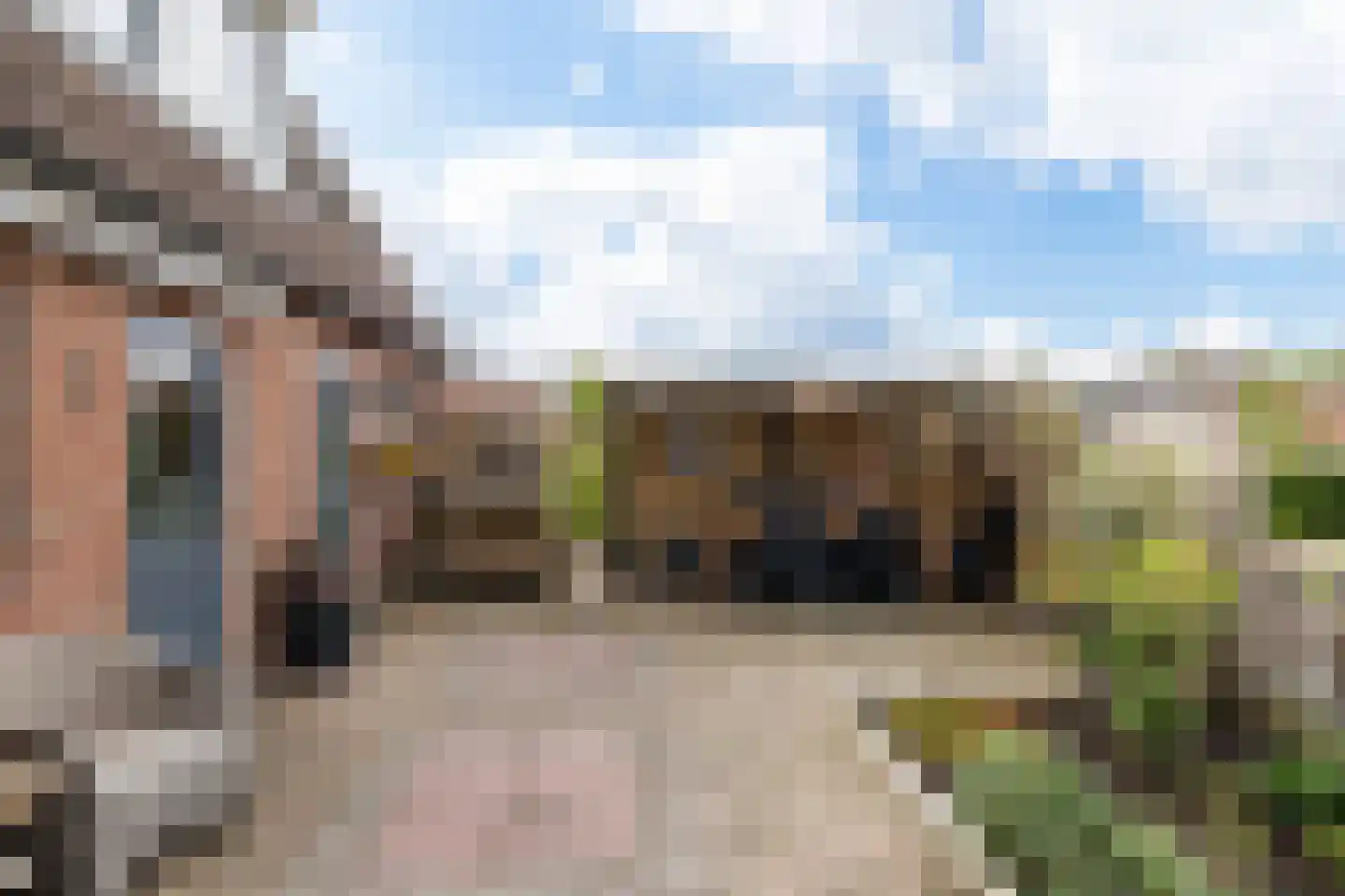 Feintensloane 6 Feanwâlden thumbnail 6