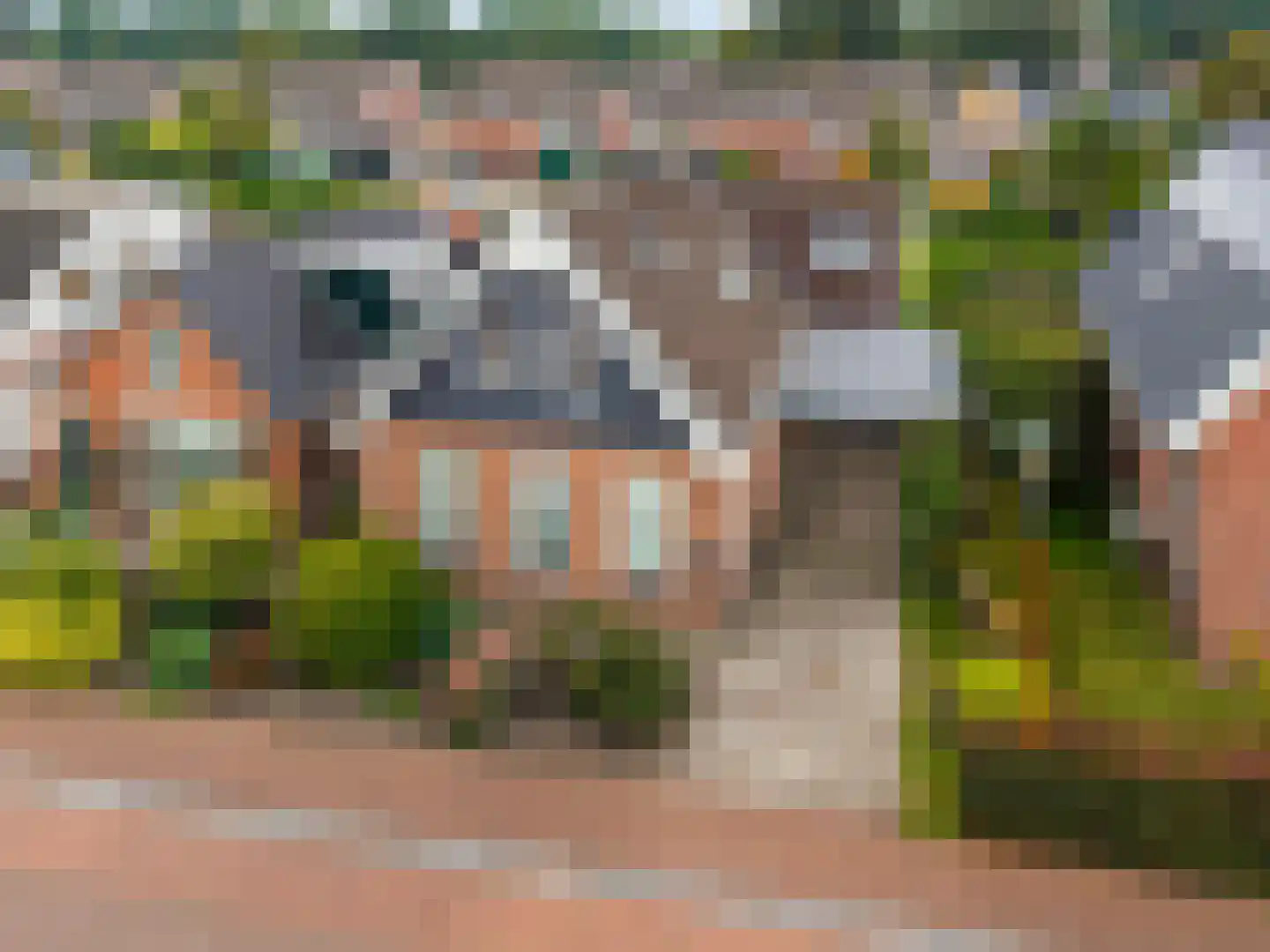 Feintensloane 6 Feanwâlden thumbnail 60