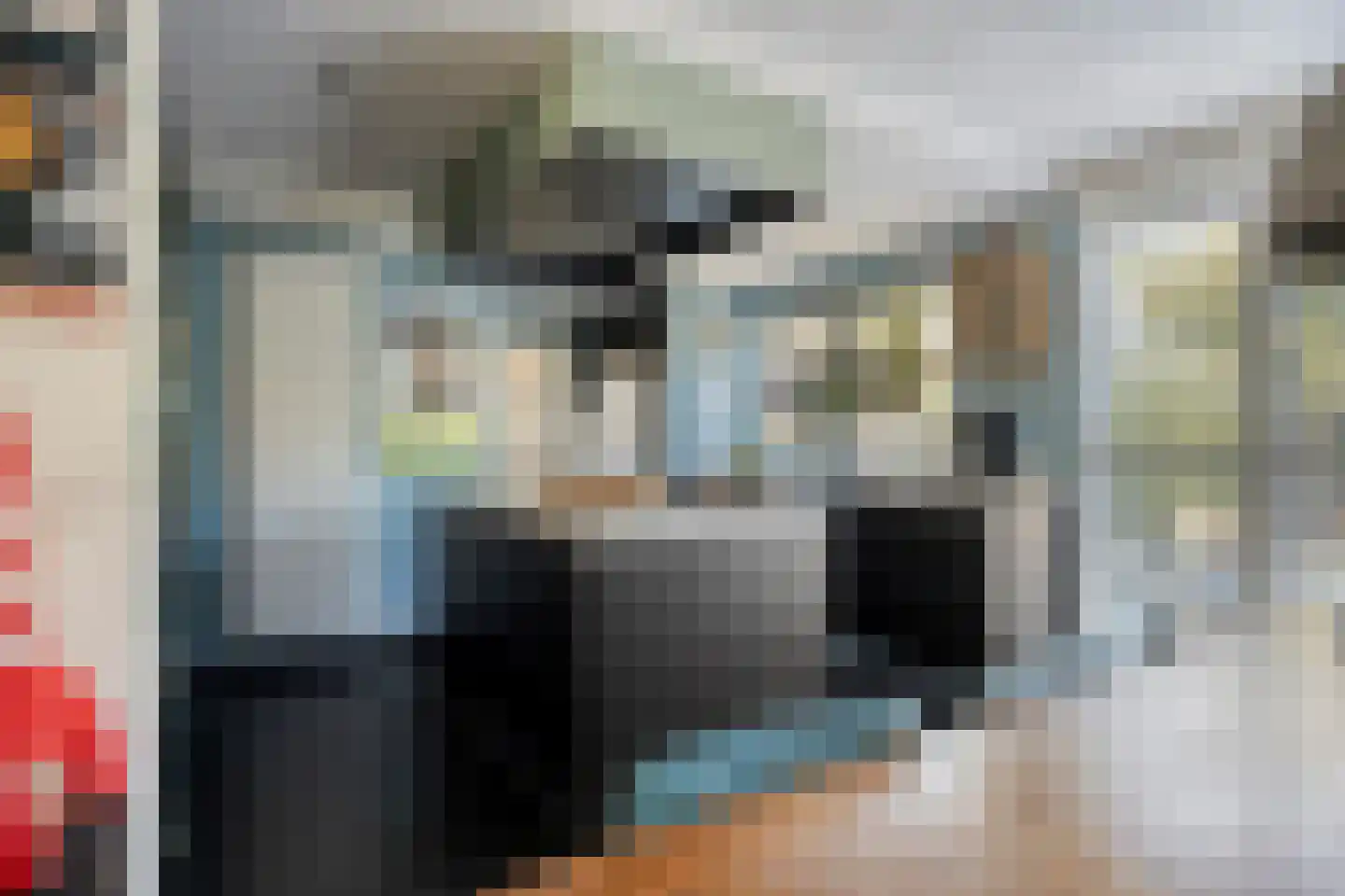 Feit 16 Veldhoven thumbnail 18