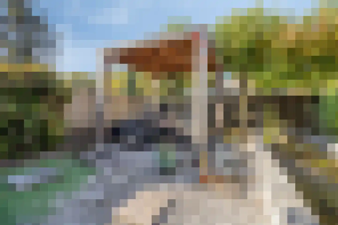 Feit 16 Veldhoven thumbnail 41