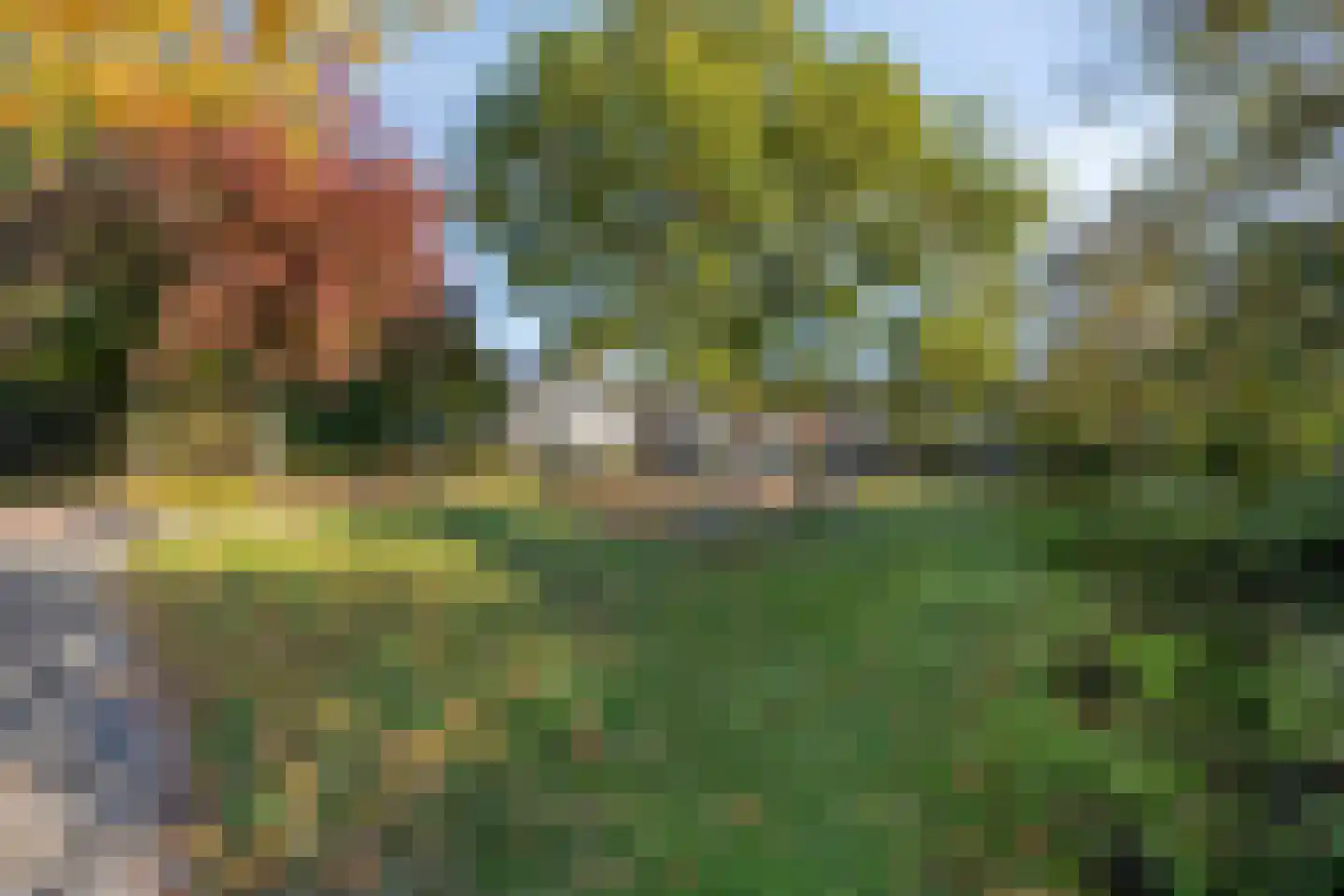 Feit 16 Veldhoven thumbnail 45