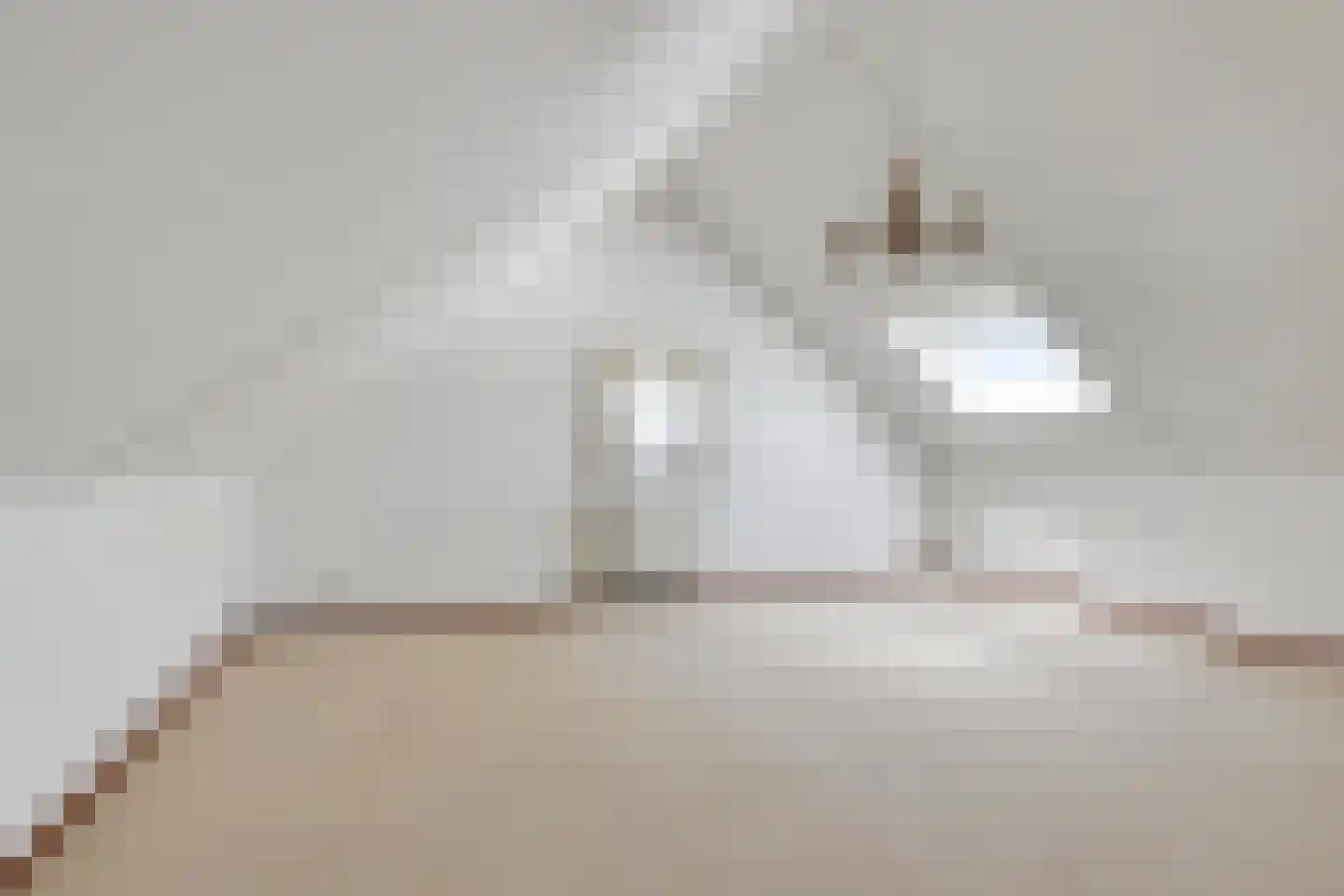 Feit 25 Veldhoven thumbnail 20