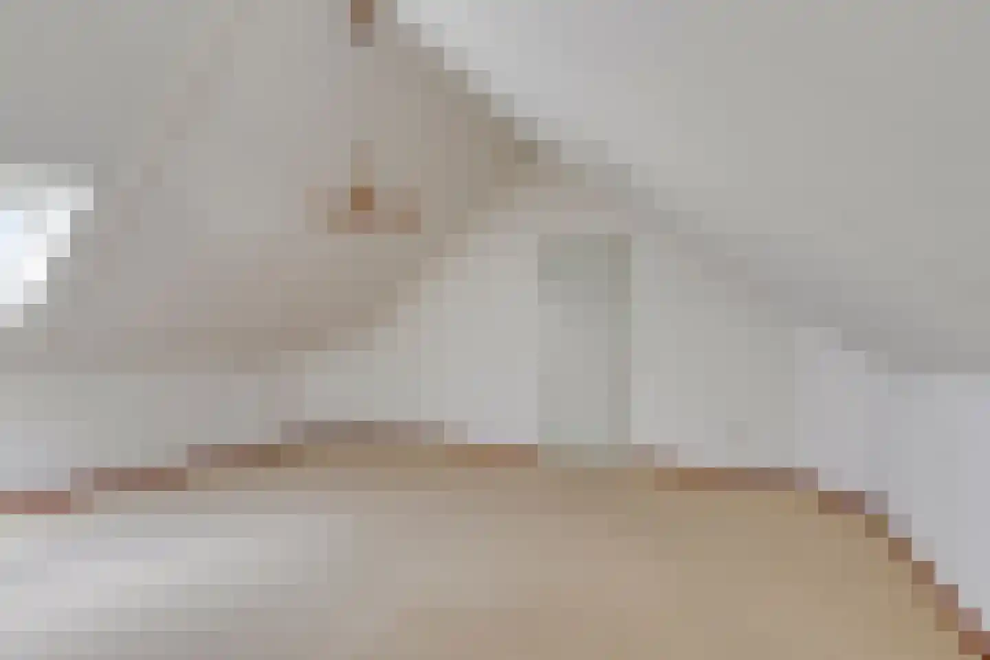 Feit 25 Veldhoven thumbnail 21