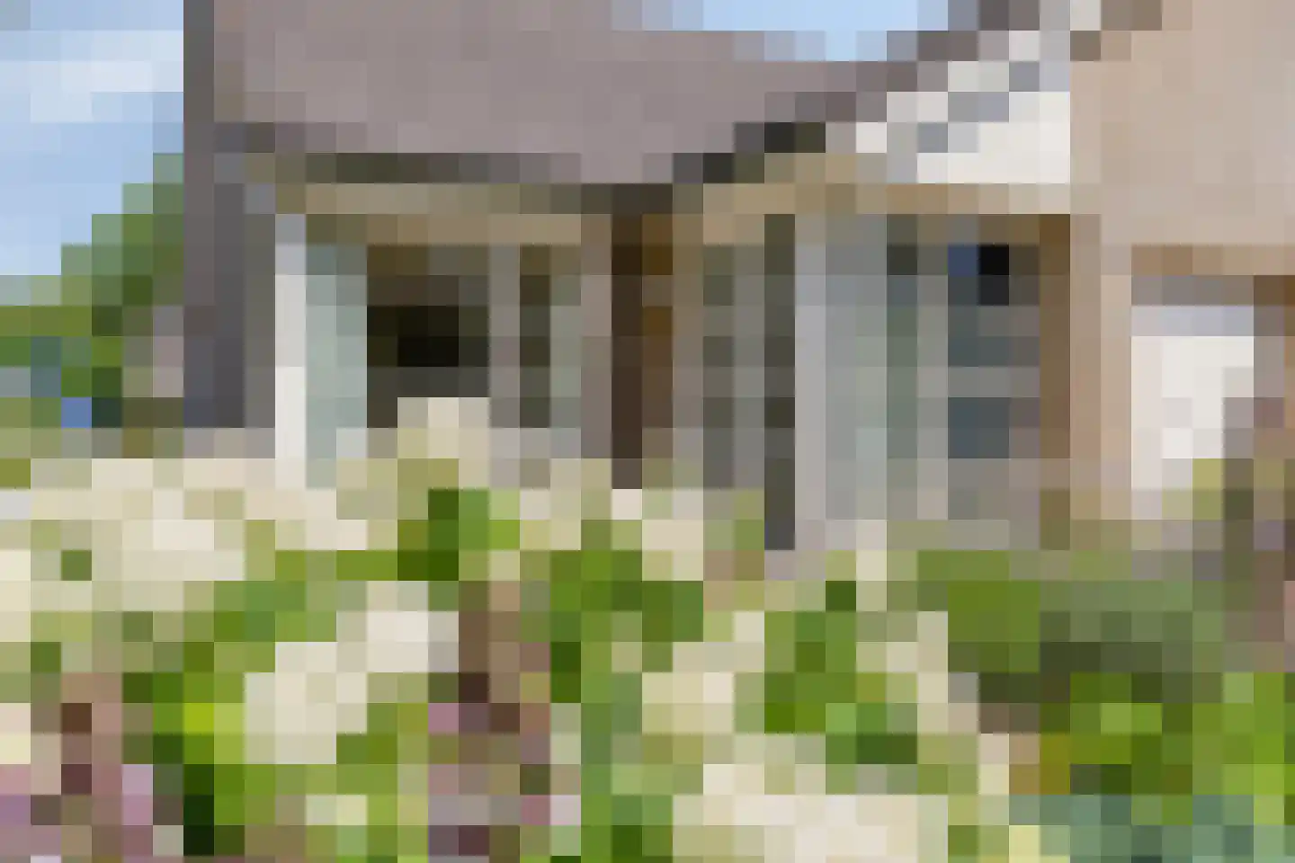 Feit 25 Veldhoven thumbnail 34
