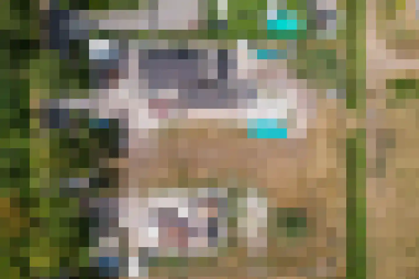 Feithenhofsweg 6 C Oldebroek thumbnail 8