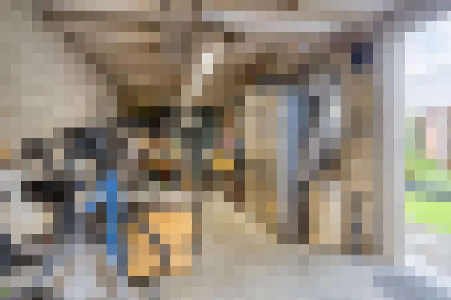 Feithsweg 17 Tolbert thumbnail 37