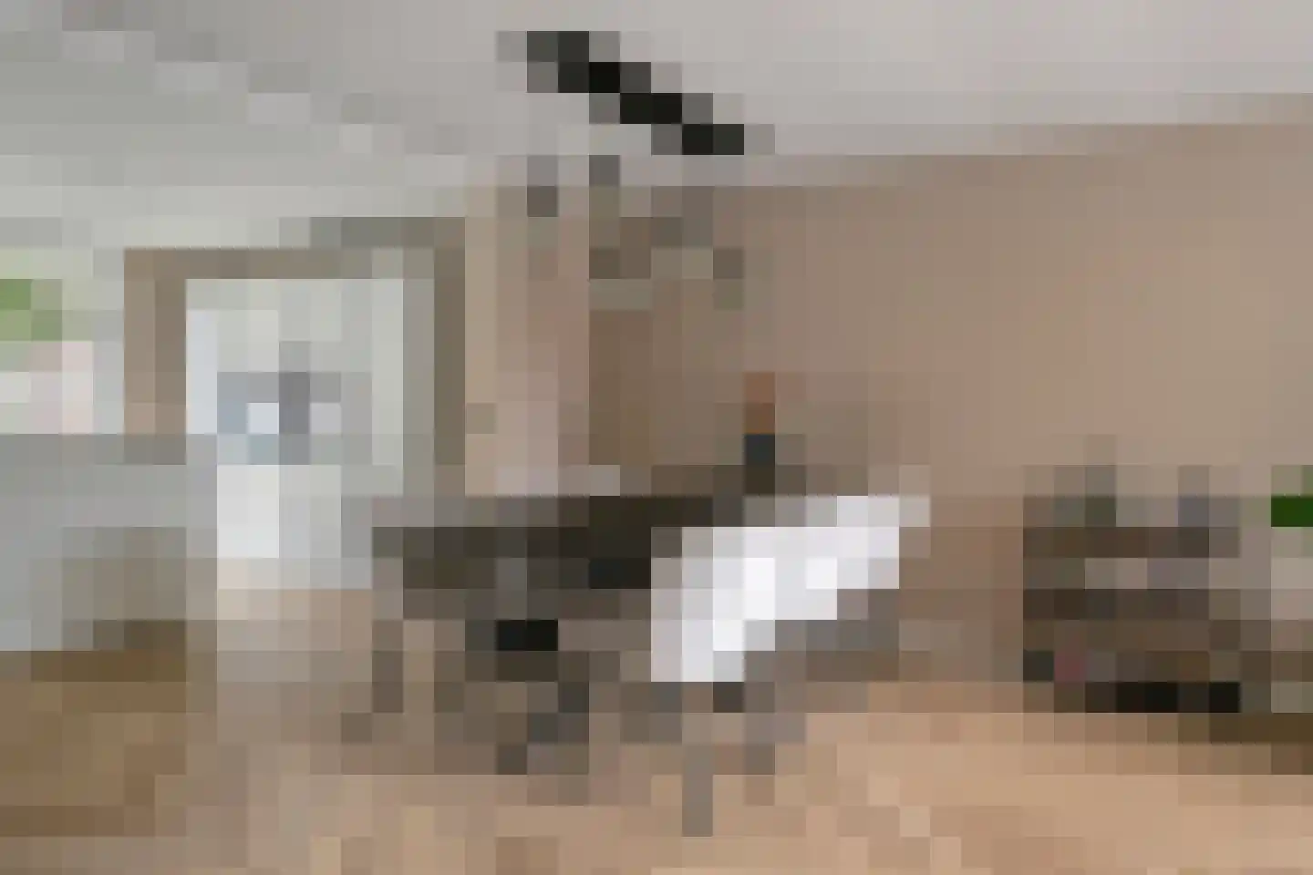 Felicitéstraat 25 Lierop thumbnail 10