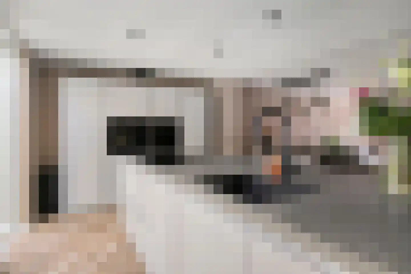 Felicitéstraat 25 Lierop thumbnail 13