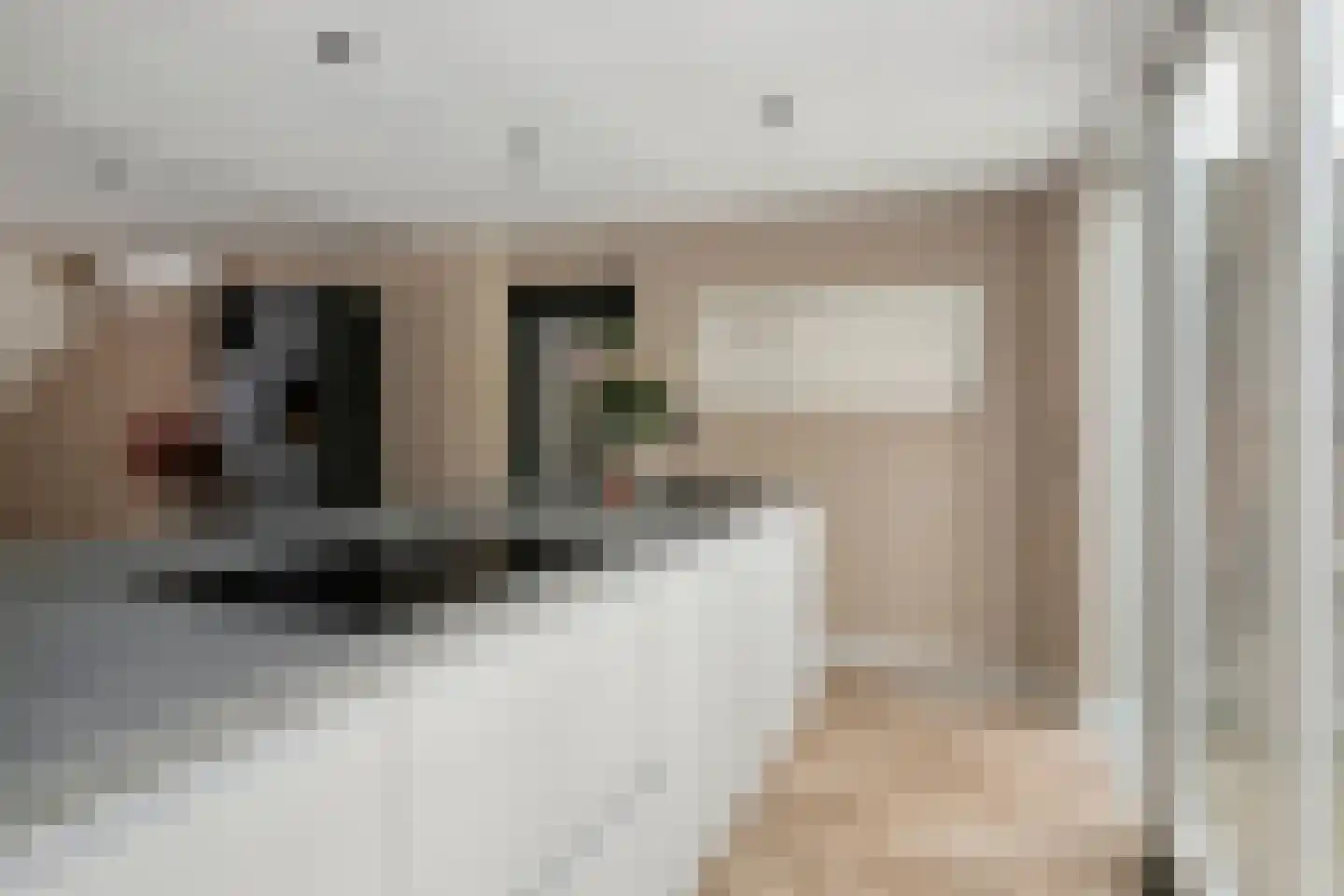 Felicitéstraat 25 Lierop thumbnail 15