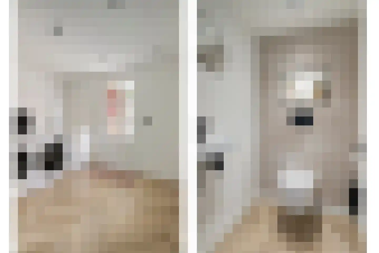 Felicitéstraat 25 Lierop thumbnail 17