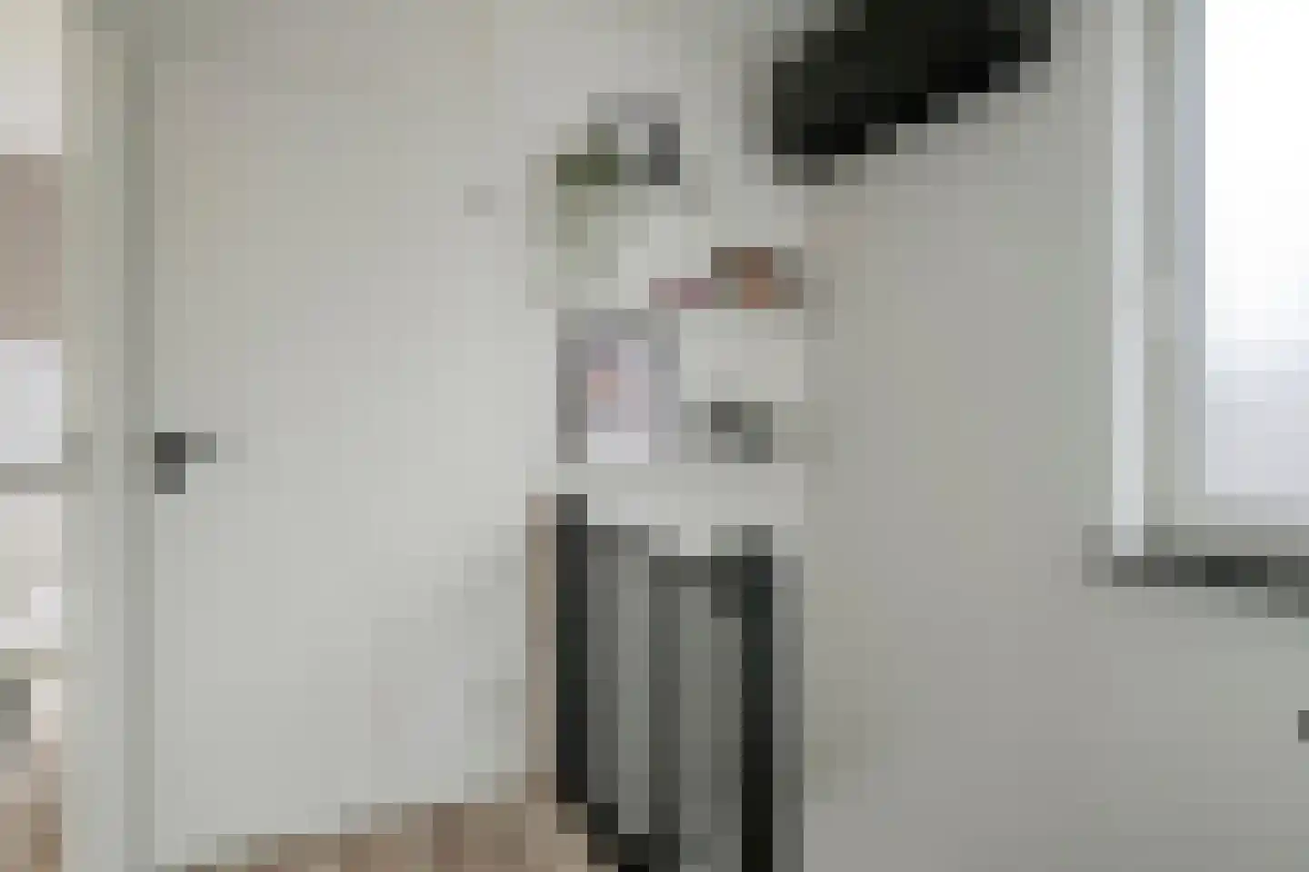 Felicitéstraat 25 Lierop thumbnail 18