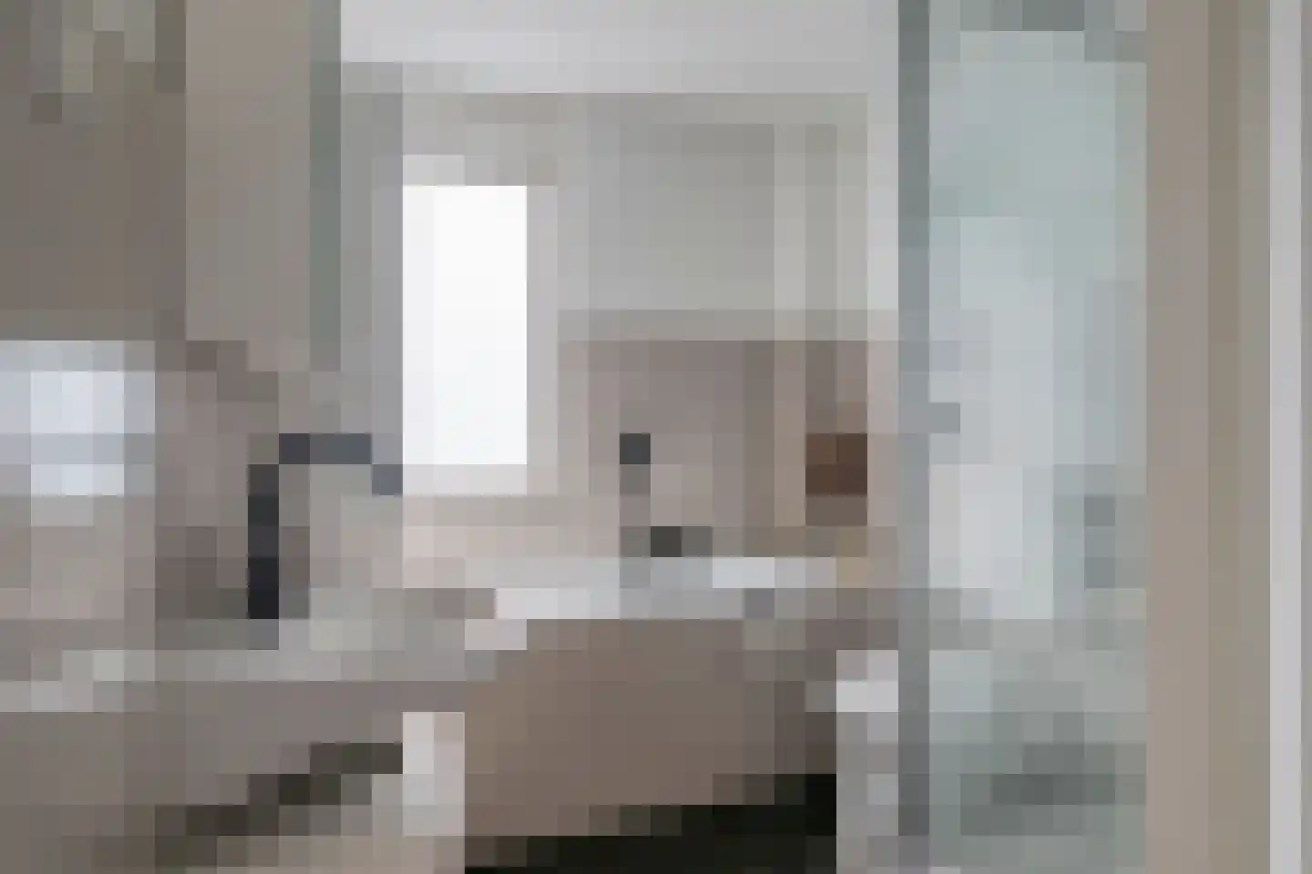 Felicitéstraat 25 Lierop thumbnail 24
