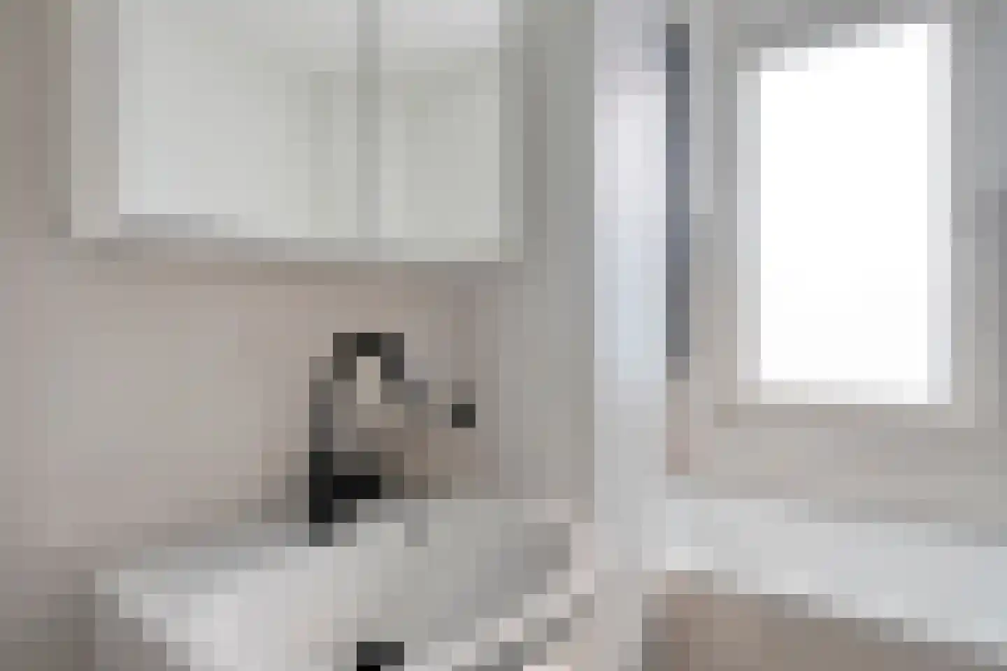 Felicitéstraat 25 Lierop thumbnail 26