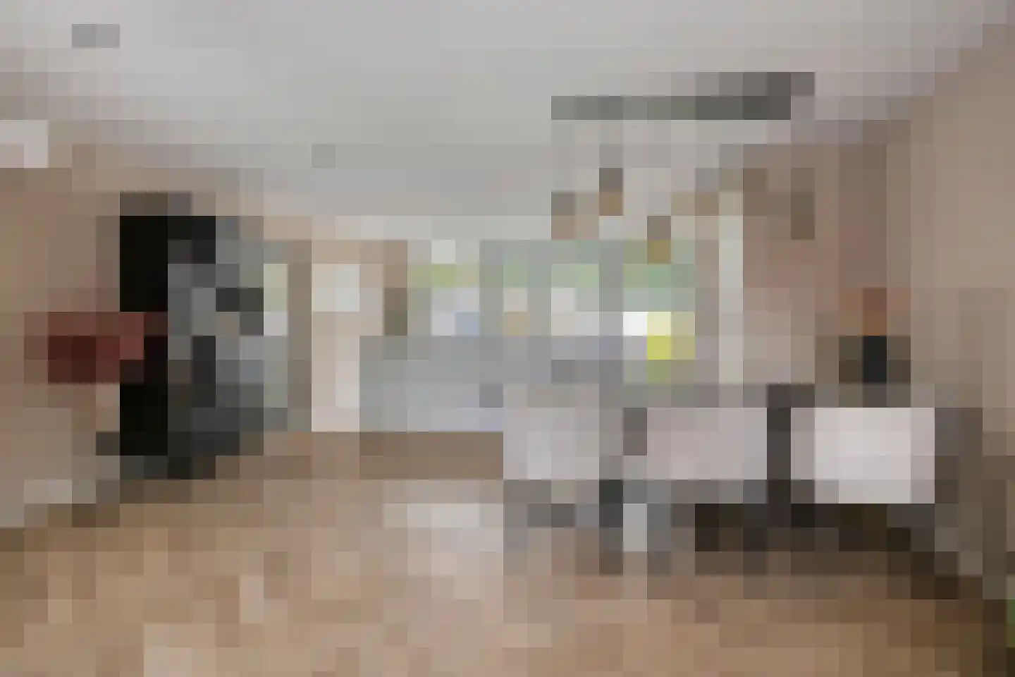 Felicitéstraat 25 Lierop thumbnail 9