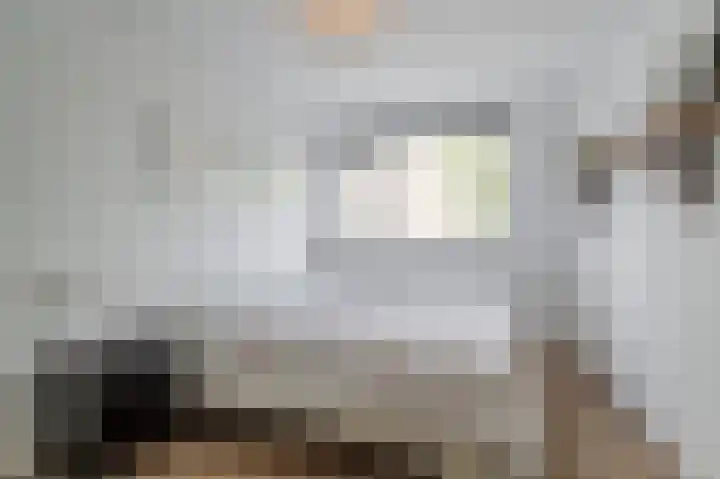 Felix de Nobelhof 25 Amstelveen thumbnail 19