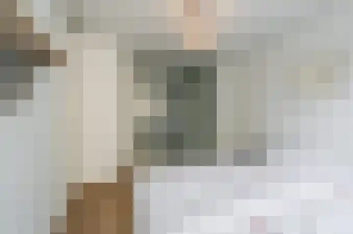 Felix de Nobelhof 25 Amstelveen thumbnail 20
