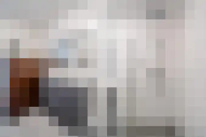 Felix de Nobelhof 25 Amstelveen thumbnail 24