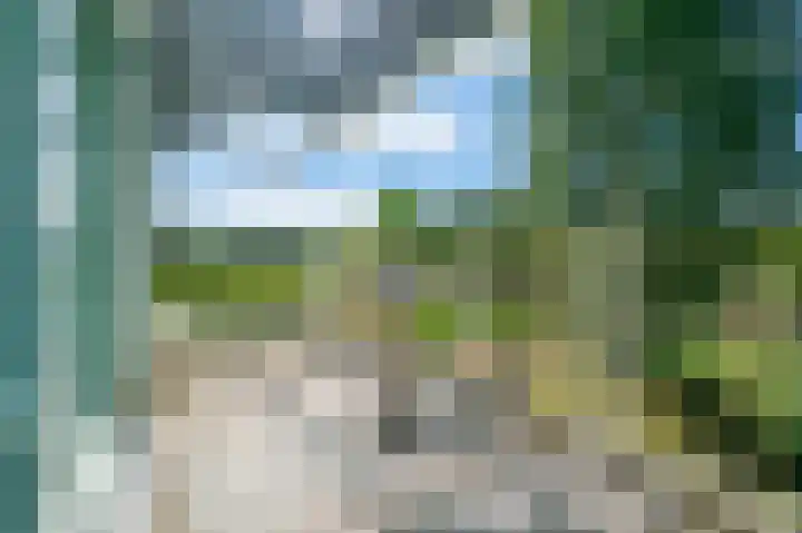 Felix de Nobelhof 25 Amstelveen thumbnail 25