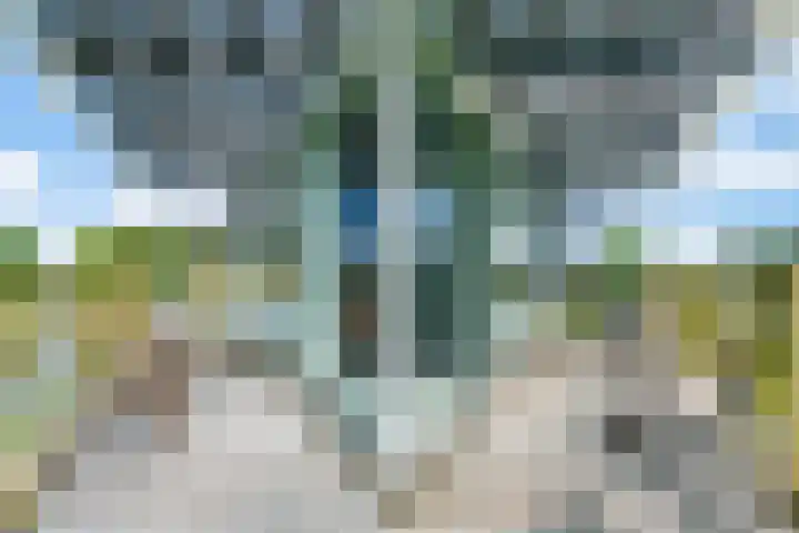 Felix de Nobelhof 25 Amstelveen thumbnail 26