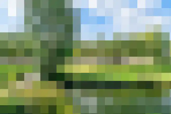 Felix de Nobelhof 25 Amstelveen thumbnail 28