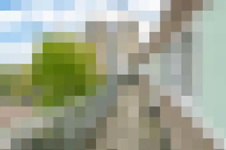 Felix de Nobelhof 25 Amstelveen thumbnail 32