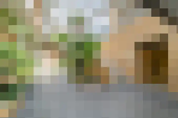 Felix de Nobelhof 25 Amstelveen thumbnail 34