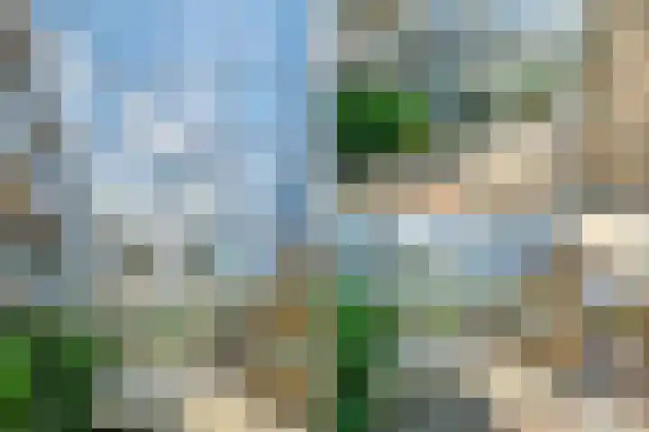Felix de Nobelhof 25 Amstelveen thumbnail 38