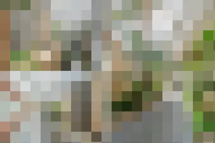 Felix de Nobelhof 25 Amstelveen thumbnail 39