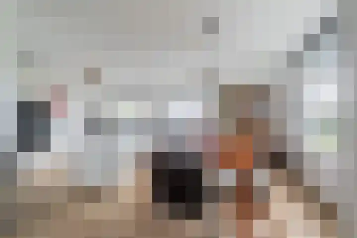 Felix de Nobelhof 25 Amstelveen thumbnail 4